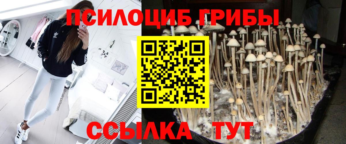 Галлюциногенные грибы Cubensis Шадринск